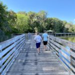 boardwalk, nature trail, nature, florida, mount dora