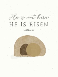“He is not here; He has risen, just as He said.
Come and see the place where He lay.” Matthew 28:6

He Lives ✝️

#heisrisen #glorytogod #heisalive