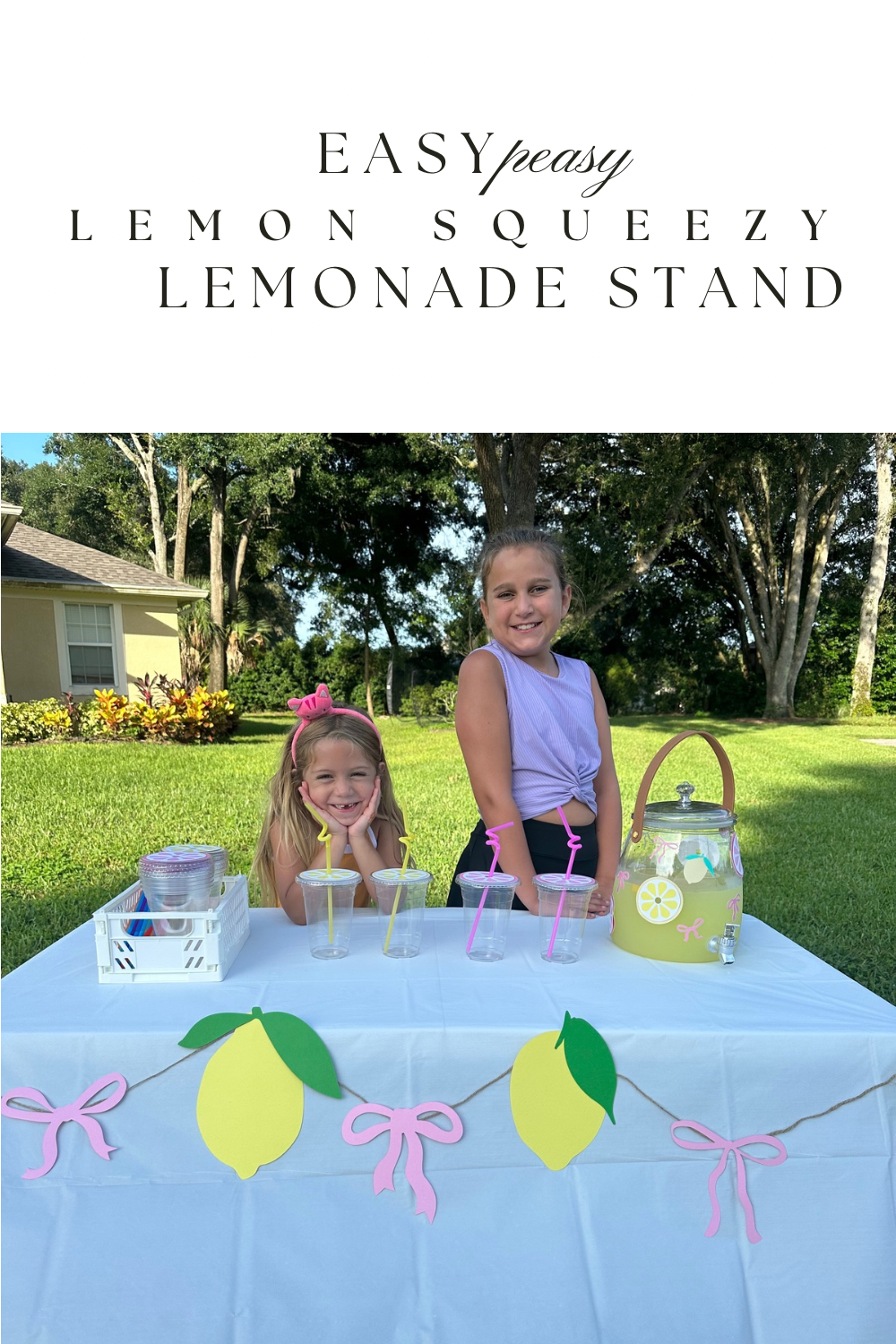 Lemonade stand