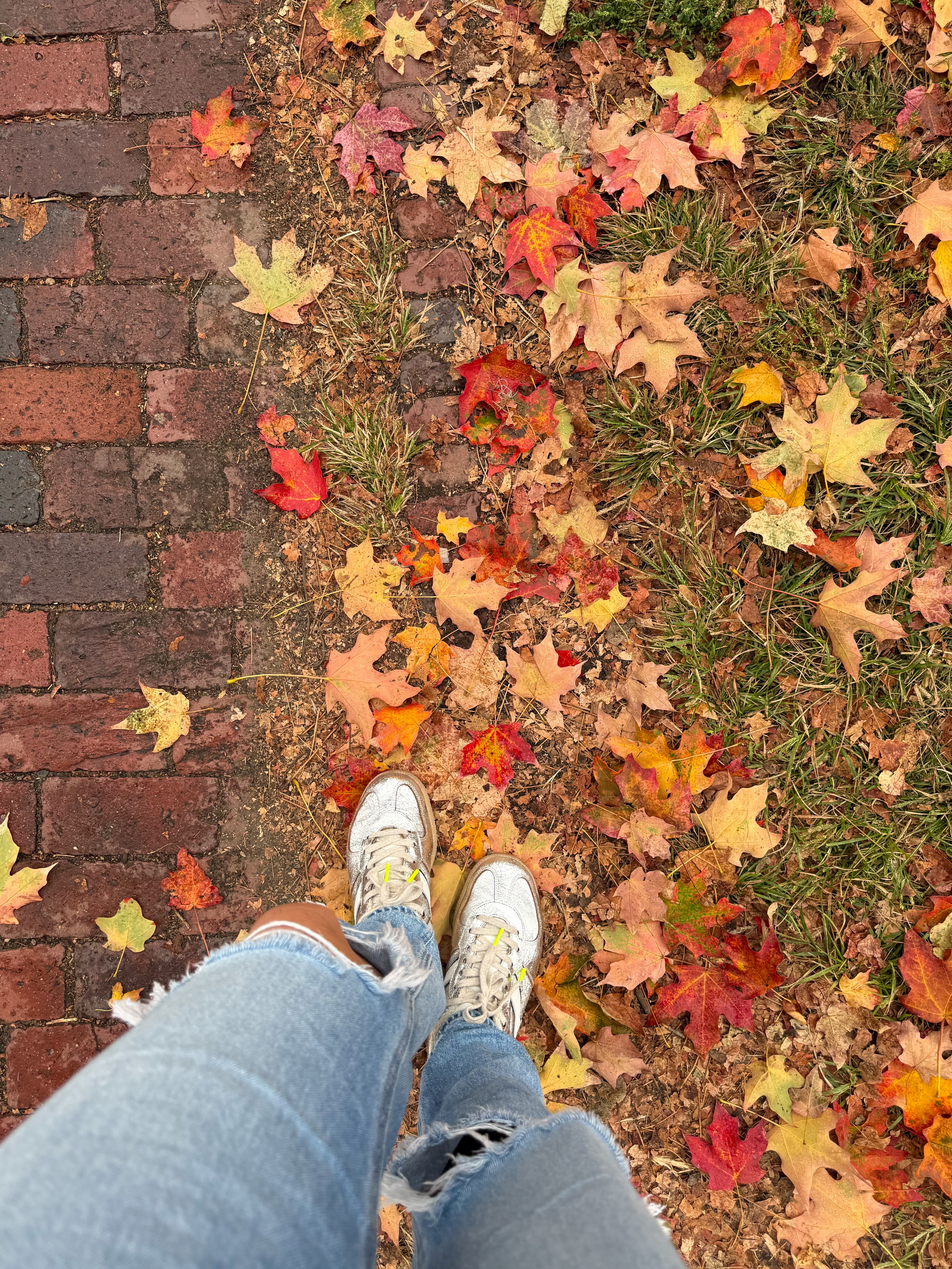 Fall finally showed up to Florida and obviously my mind went right back to Boston this time last year…. 

Anyone else for the weather this week 😍😍 🍁 

#fallvibes #october