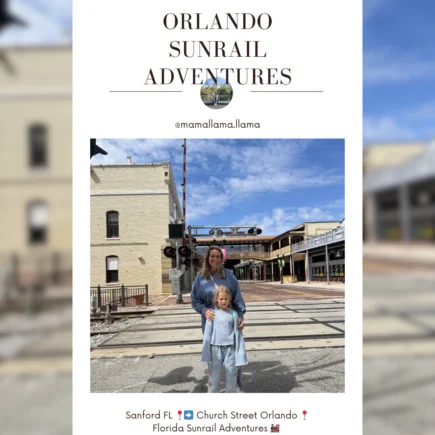 Florida Sunrail